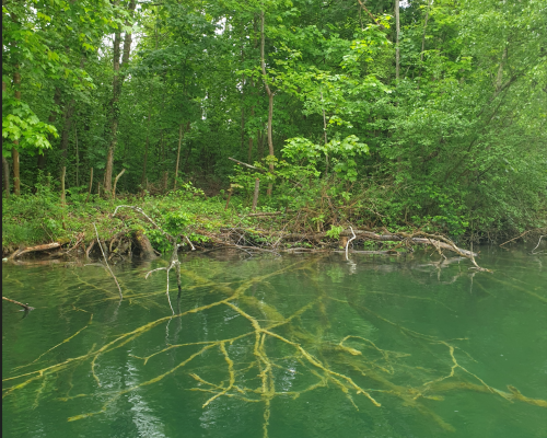 ecolimneau : Expertise de plan d'eau