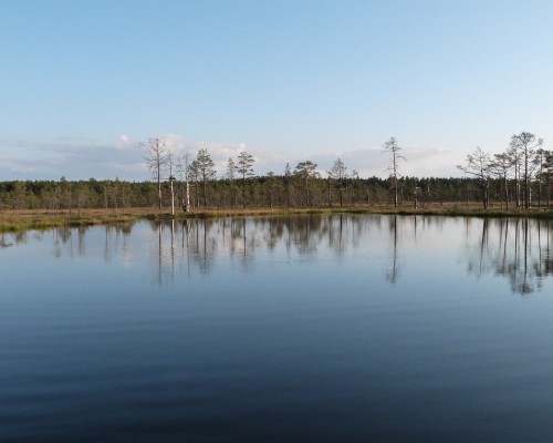 ecolimneau Mesures en plan d’eau